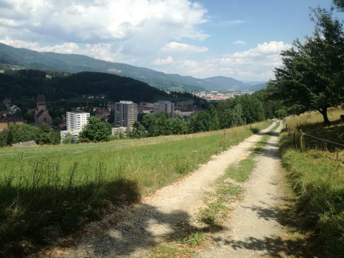 Privatzimmer Wagner Λεόμπεν Εξωτερικό φωτογραφία